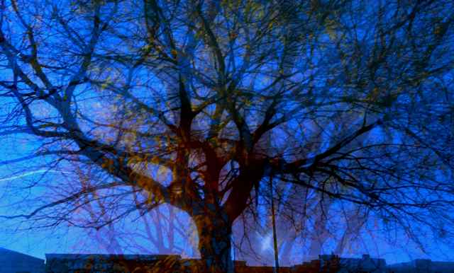 brossard_gaby's tweet photo. #urban #tree #wintersosoon #eachonedifferent #firstofmany
#GabyBrossard #fictionphoto #mystyle #myway #Canada https://t.co/0pPbEPprAR