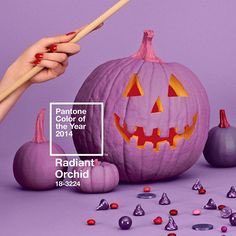 usagdn's tweet photo. 2016 Pantone ! https://t.co/oQay1Rzu21