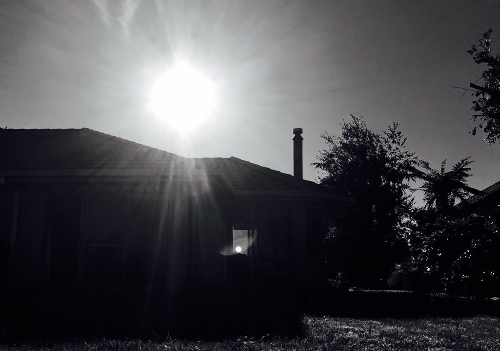 Kam_Greenlees's tweet photo. #papamoa #chasingthesun #sunbaking https://t.co/vhcqUMCdrK