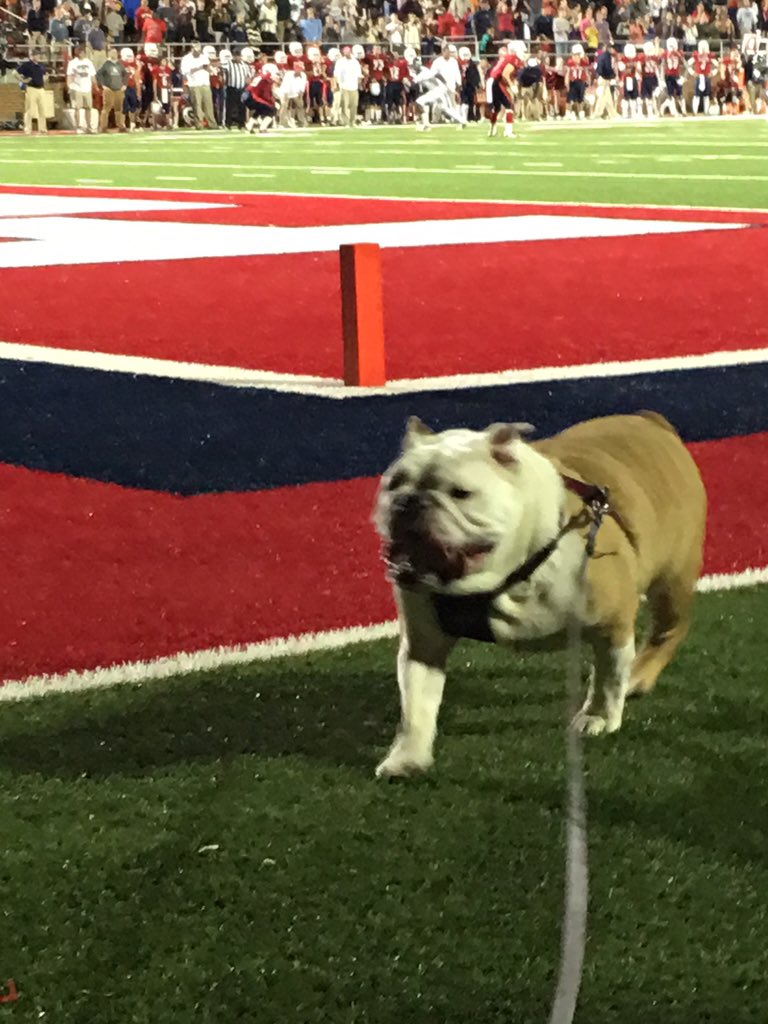 custerdawgs's tweet photo. Proud to be a "Dawg"!!!
#lcafootball #whatagame https://t.co/ATbOq7aaOF