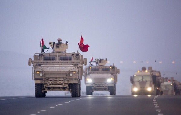 صور القوات المسلحة الإماراتية ........موضوع متجدد   CTL4DQ5VEAAMK3M