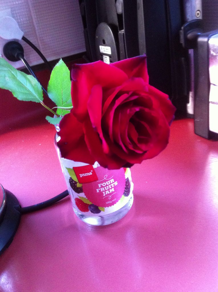 tim_tam98's tweet photo. You opened up nicely 🌹#roseupdate #daythree https://t.co/xzOW4fpLTS