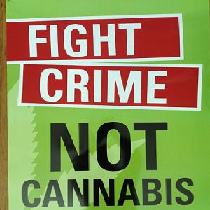 FIGHT 
CRIME 
NOT 
#CANNABIS 
#CannabisDebate 
#LegalizeMarijuana 
#EndTheDrugWar