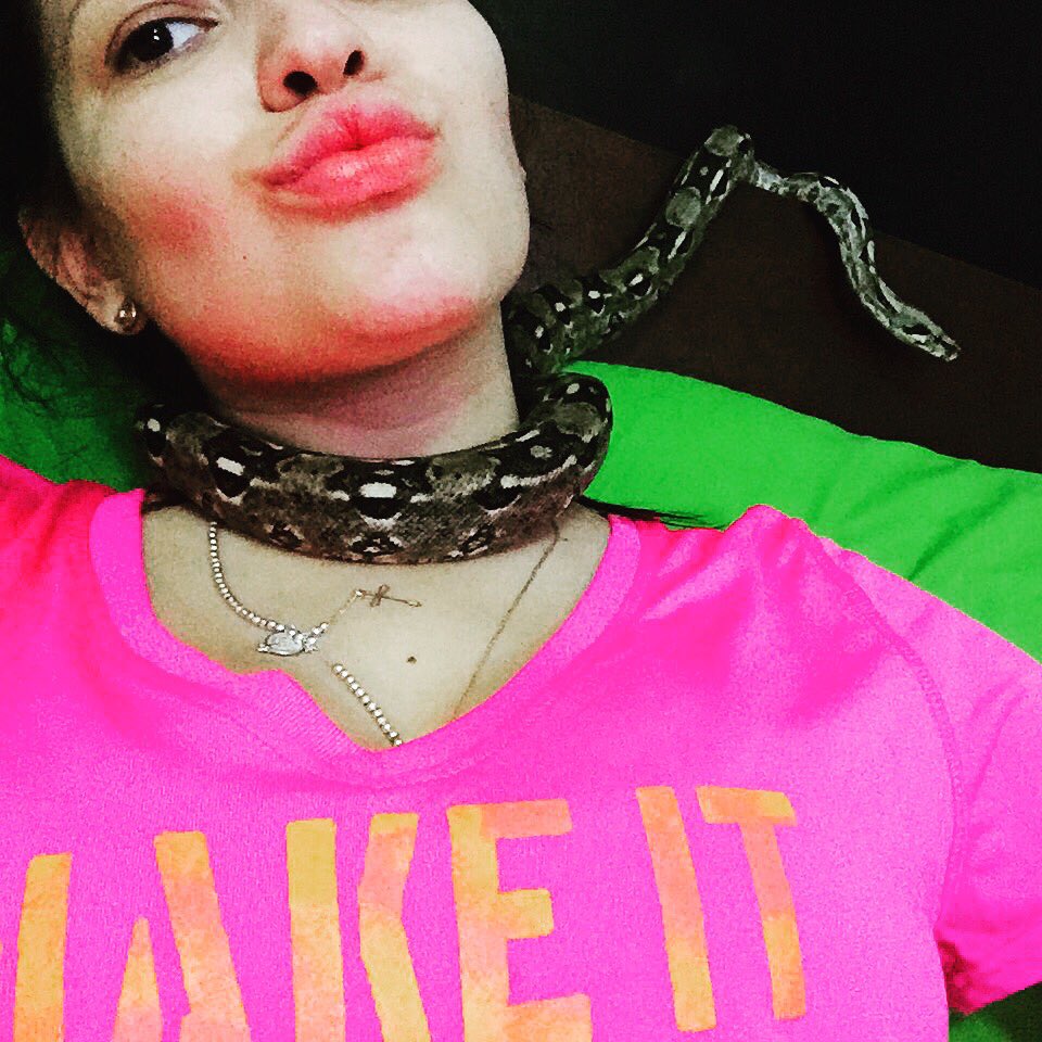 Barbariiiita's tweet photo. Les manda saludos la bebe de mama 😍 #nigui ☺️ I ❤️🐍 https://t.co/fsQ5QkiNW6