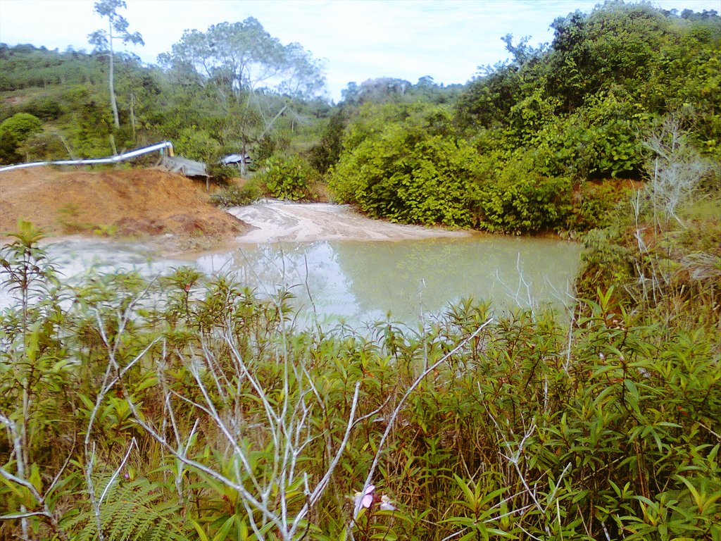 qodri575's tweet photo. #AKBM memanfaatkan lahan eks tambang untuk lahan agribisnis perikanan air tawar dan pertanian holtikultura https://t.co/hPlw8O6ZMR