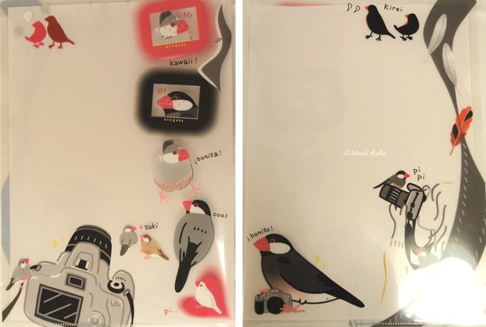 silbun's tweet image. 【宣伝です】東急ハンズ渋谷店にて、インコ展・シブヤトリトブ部屋に参加しております。写真はクリアファイル２種、ポストカード、ノート。#トリトブ部屋 #clearfilefolder #notebook #postcard