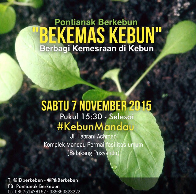 Hallo yuk hr ini ikut bekemas kebon di #kebunmandu
<a href="/infoPontianak/">infoPontianak #Lebihbaik</a> <a href="/pontianakite/">Kota Pontianak</a>