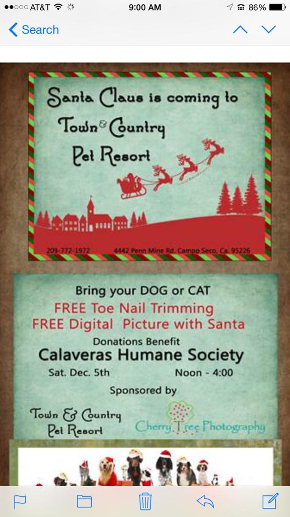 Calaveras Humane Soc (@calaverashumane) on Twitter photo 