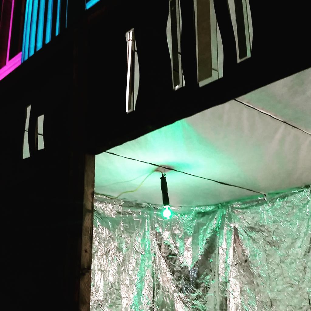 Intersite tweet media