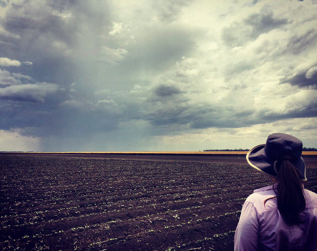 Kate Lumber tweet media