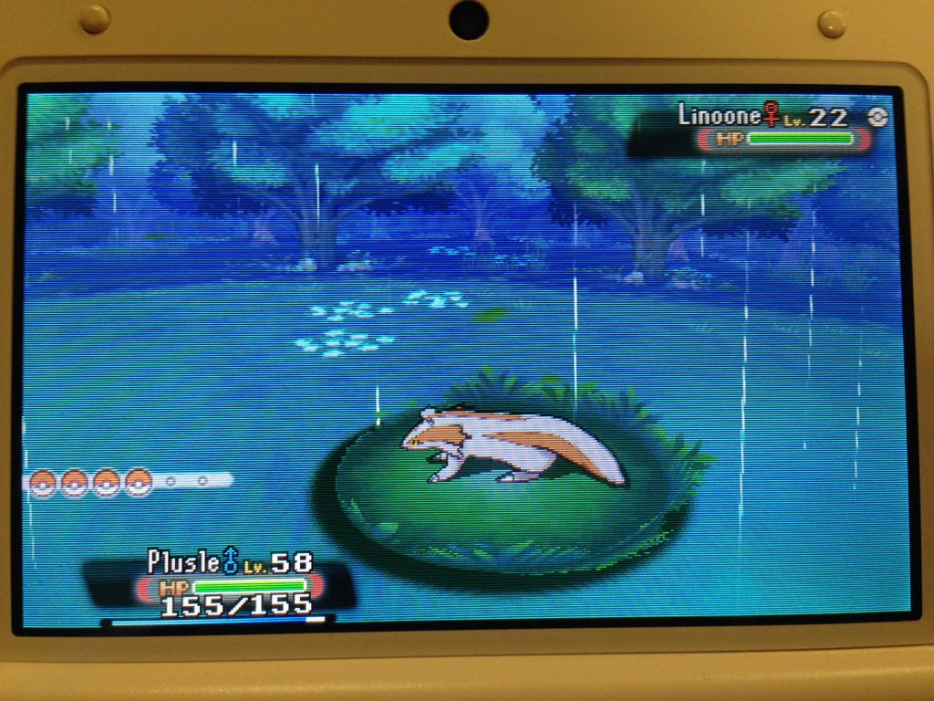 TheRealShelfy's tweet image. OH MY GOD IM JUST PLAYING POKEMON ORAS AND A SHINY LINOONE COMES OUT OF NOWHERE!!! #Pokemon