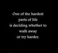 WillmsJoan's tweet image. 