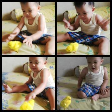 Ka_phie's tweet photo. Babyboy 
#penyiksaan #ayampiyik #babyboy #jagoanbunda #rajalubis https://t.co/Ewp84IIB90 https://t.co/RjuOYP9NsK