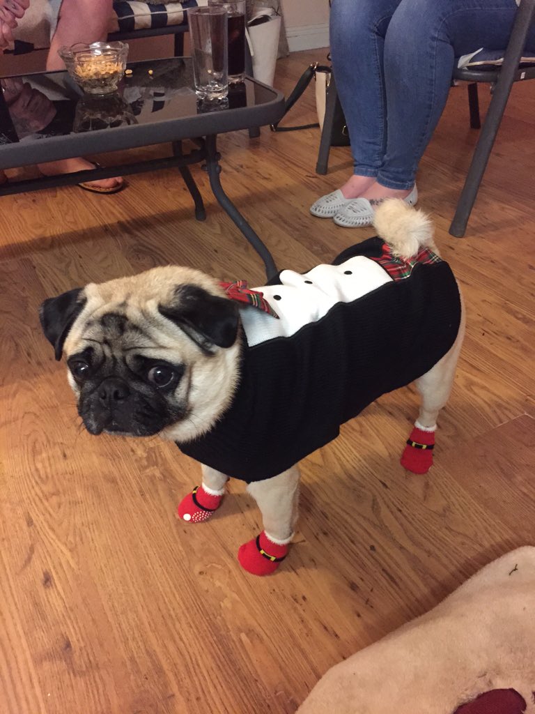 Shaunna2x's tweet photo. @SaturdayShow fudge is ready for Christmas!! https://t.co/3LK3ZlhVav