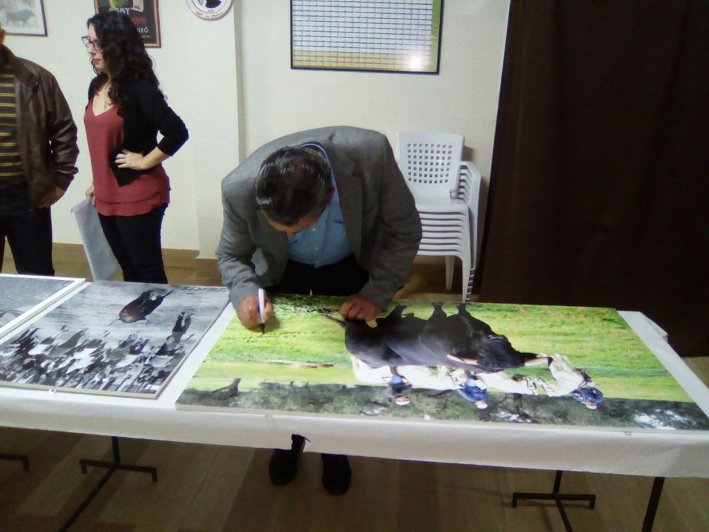 23Moli's tweet photo. "Un lujo y años d Afición"
Casal Comisión San Antonio Abad,Vall d Uxo
Vitrina Trofeos y foto Pleamar firmada
Ganadro https://t.co/hGIm9NffbJ