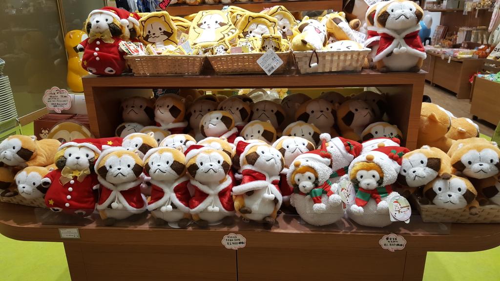 GreenAlpaca1's tweet photo. Christmas Rascals c: https://t.co/36cFX54YBn