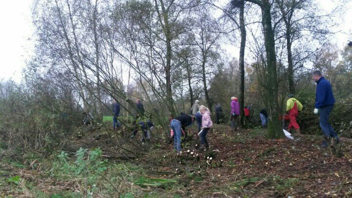 DeNVWK's tweet photo. Het bosje in #idyle #loetbos wordt open gezaagd aan de oostzijde tijdens #Natuurwerkdag. ruimte voor nieuwe planten https://t.co/L6WiRUvYc4