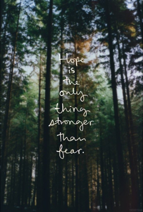 Katie Gardener. (@organicallure) on Twitter photo 