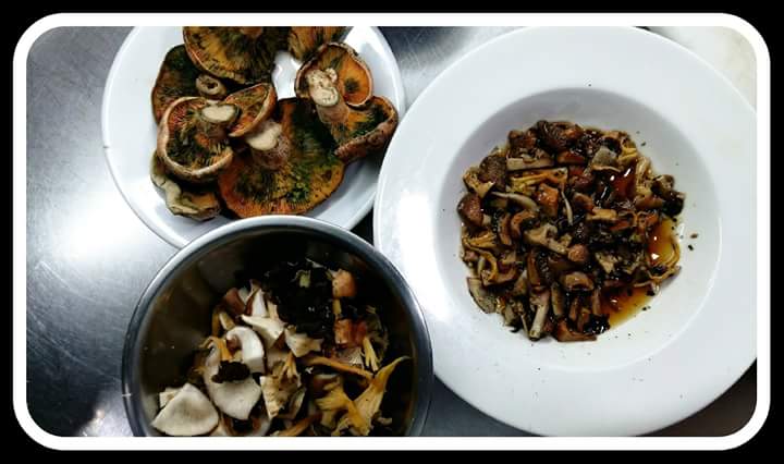 Este veranillo de San Martín, ven y degusta el sabor del monte en nuestros platos: Salteado de setas del tiempo.