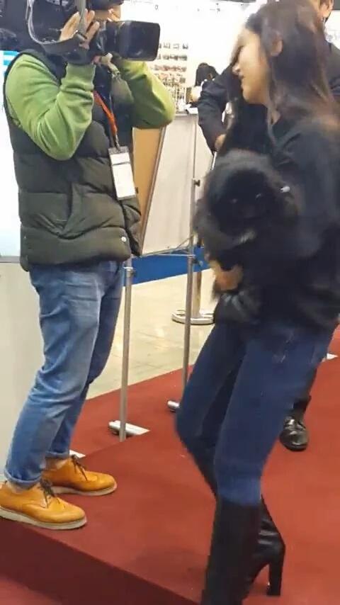 T_ARAPETS's tweet photo. [FANTAKEN] 151107 K-Pet Fair - Soyeon with #Totoro #t_dogs #KPetFair2015 #NaturalBalance https://t.co/fI2zHrmRTZ