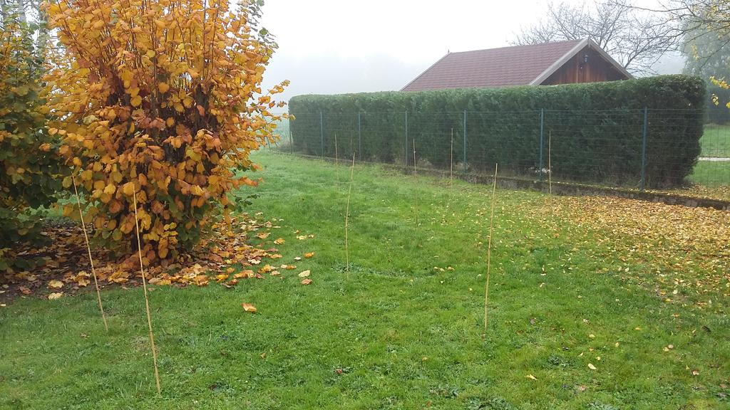 Clr712's tweet image. Première recherche d&apos;eau ! #sourcier