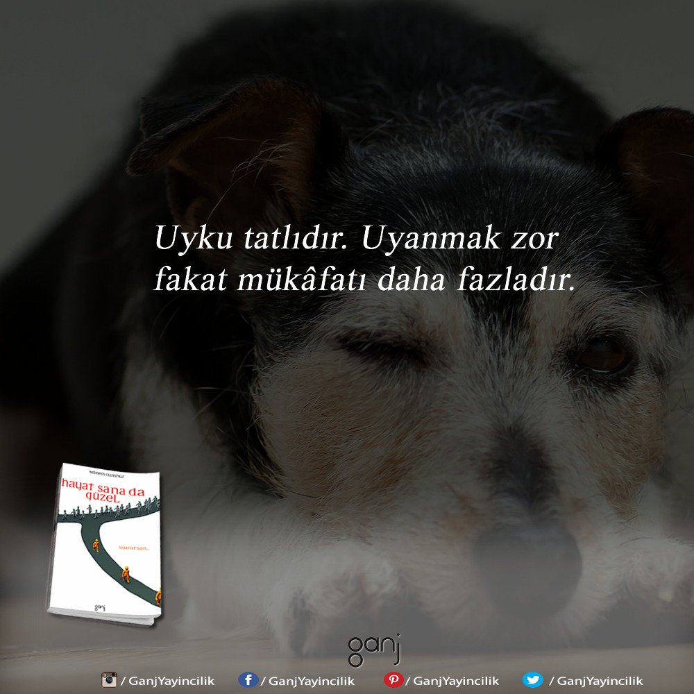 Ne kadar da önemliymiş kelimeler..harikasın  #hayatsanadaguzel <a href="/sebnemcumhur/">Şebnem Cumhur</a>