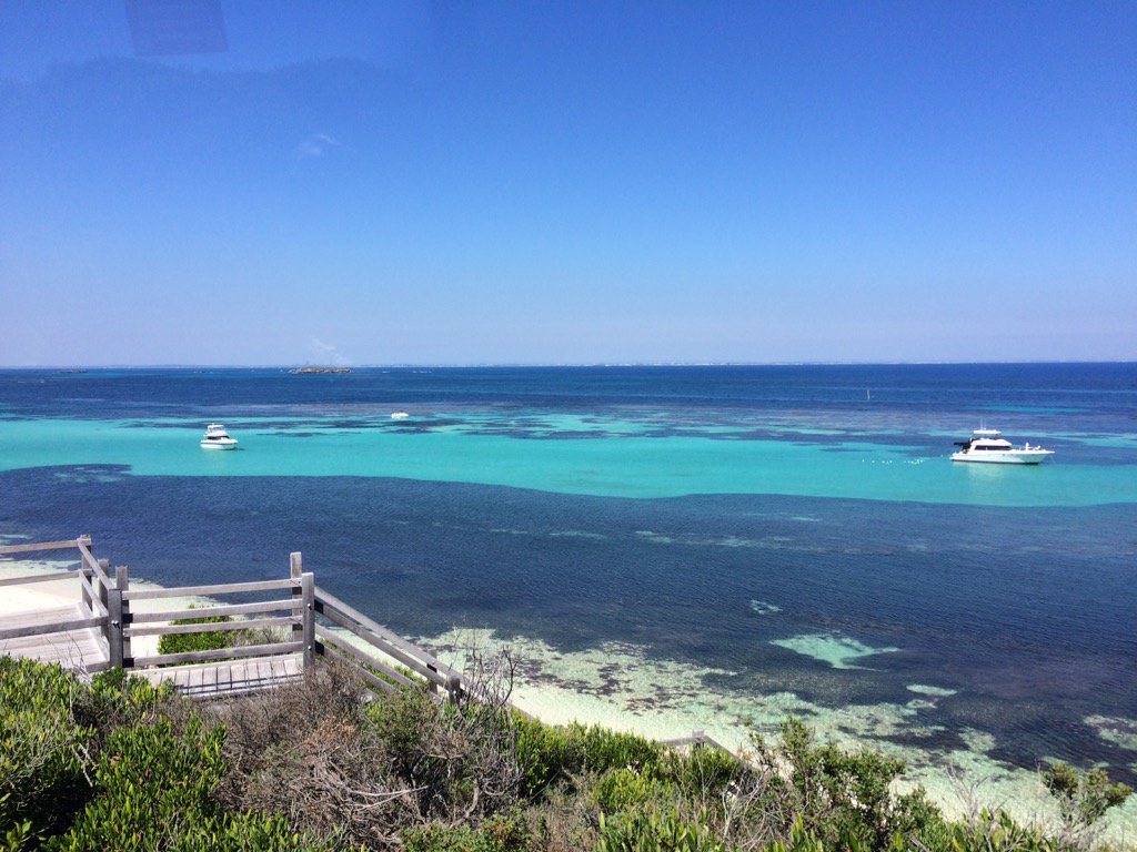 I can't believe how beautiful it is <a href="/RottnestIsland/">Rottnest Island</a> <a href="/WestAustralia/">Western Australia</a>
