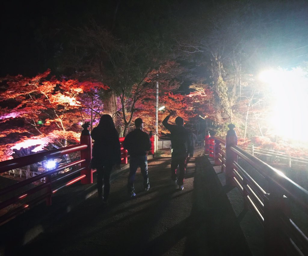 Guliko420kelly's tweet photo. 2015。紅葉。Autumn。
#Prt4 https://t.co/gyo649qXVB