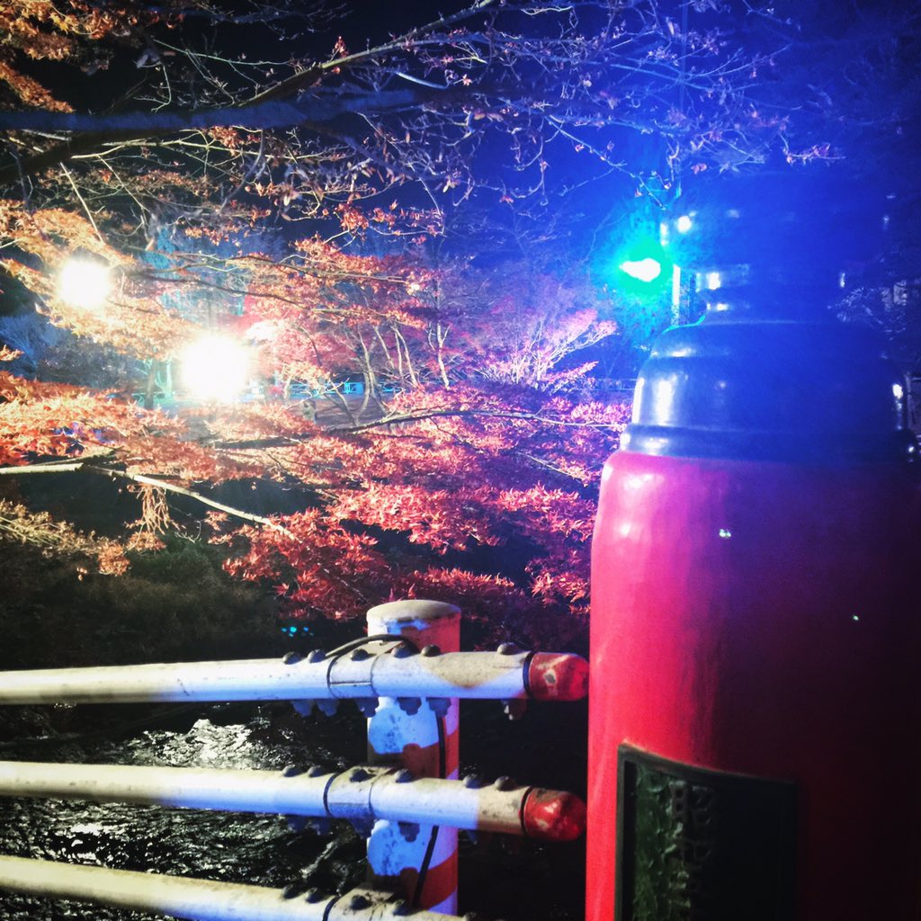 Guliko420kelly's tweet photo. 2015。紅葉。Autumn。
#Prt4 https://t.co/gyo649qXVB