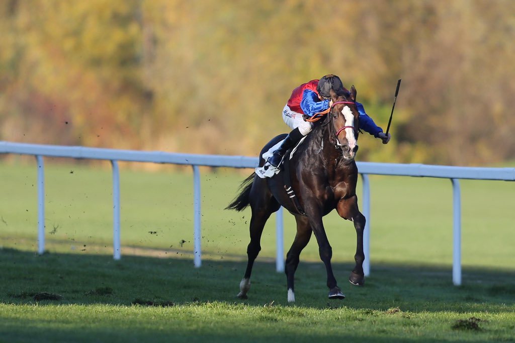 Sebastian Weiss tweet media