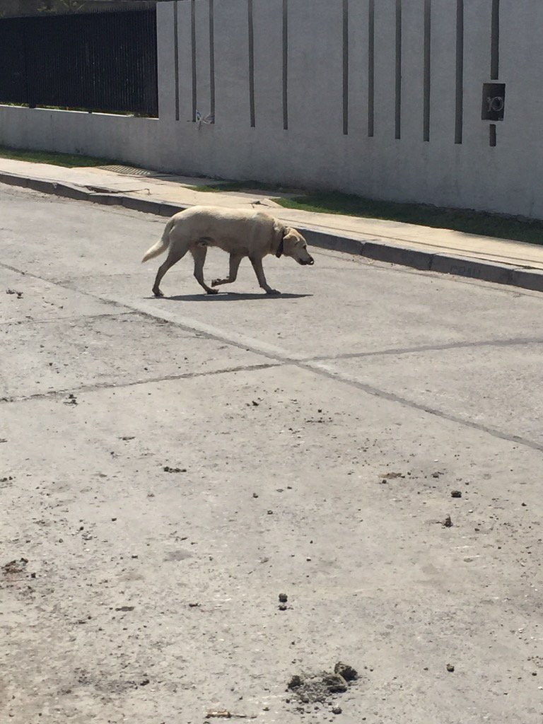 Michelle Medrano tweet media