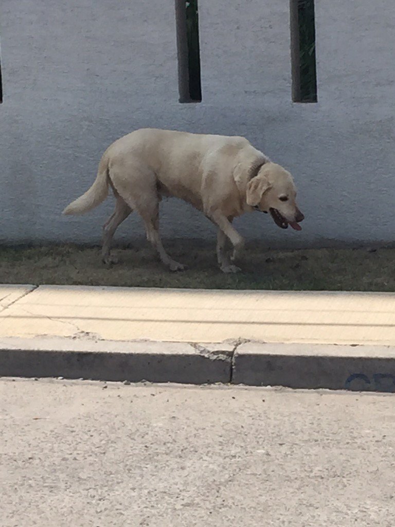 Michelle Medrano tweet media