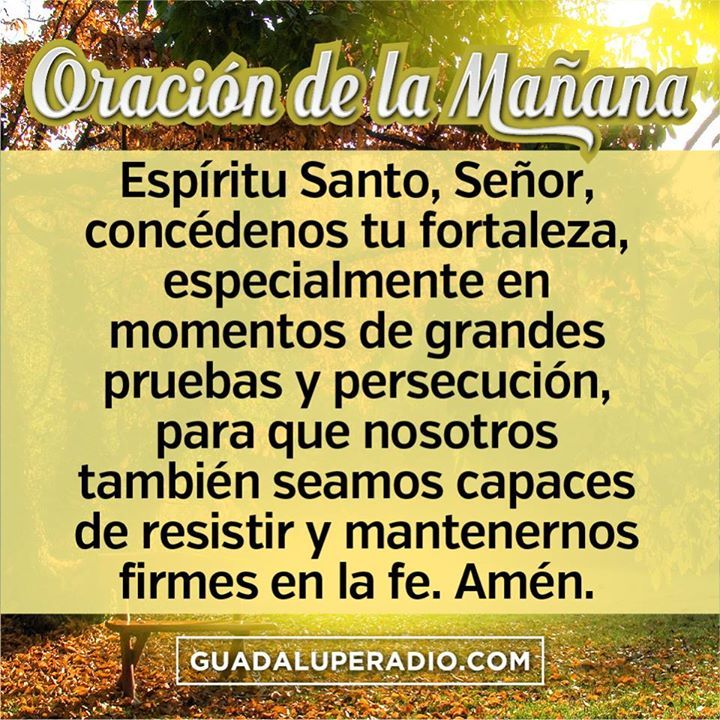 guadaluperadio's tweet photo. #oracióndelamañana #guadaluperadio
Hermanos, buenos días. Pidamos al Espíritu Santo que no… https://t.co/7WnjfAeS2Z https://t.co/dxBOlJxDQ0