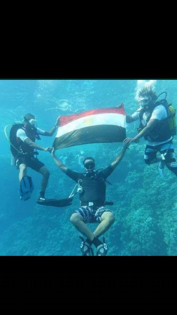 MosadBob tweet picture
