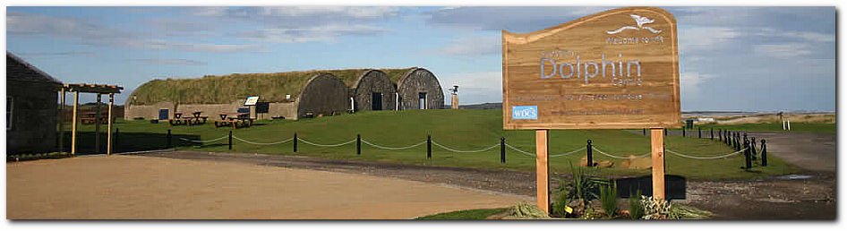 Dolphin Spotting on the hour every hour from 11am – 5pm at Scottish Dolphin Centre, Speybay bit.ly/1AqQxSv