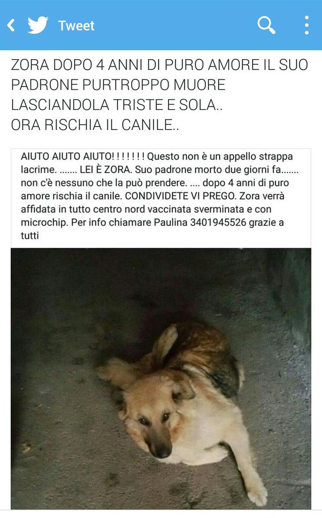 ClaudiaToni tweet picture