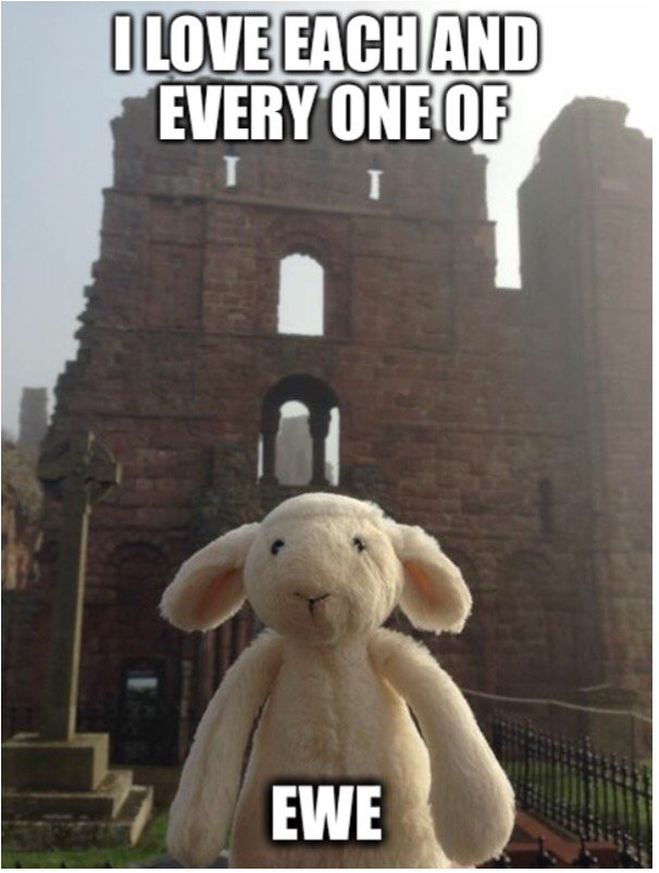 teameviealan's tweet photo. Good morning, #Lambfans https://t.co/e4r3W79nLo