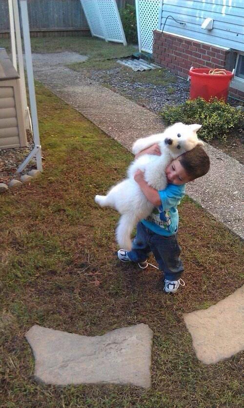 FunnyQuotees's tweet photo. Me whenever I see a dog https://t.co/vJZDBvg0ch