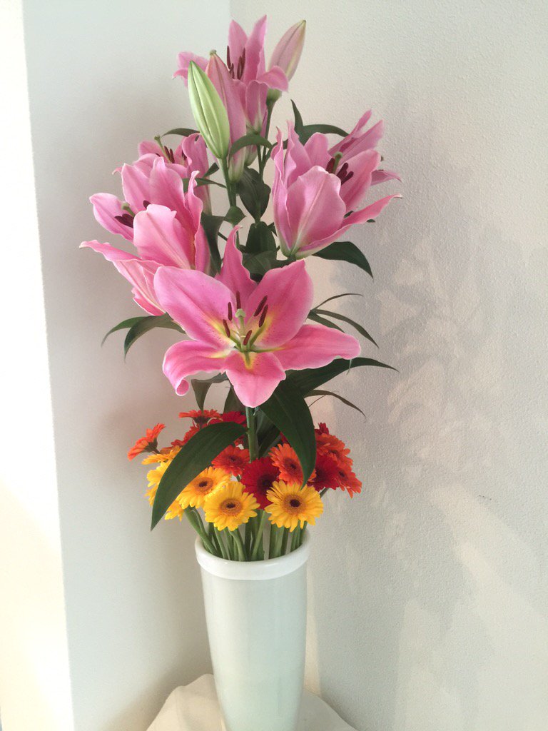 TimvandenBerg86's tweet photo. Het één hoeft het ander niet uit te sluiten #gerbera #lelie #Diamante #flowers https://t.co/bzSLuuINYB