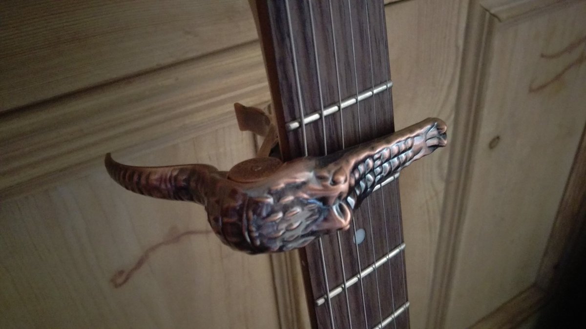 rpsten's tweet image. After all these years of having a guitar, my first ever capo! Thanks @PlecPicker !