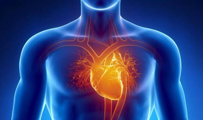 Hashmi4883's tweet photo. #HeartPatients #Sex #Heart #SexualActivities
Sex Safe For Most Heart Patients: Study Says
https://t.co/hHmkx8oDkV https://t.co/nb8ilT5sQe
