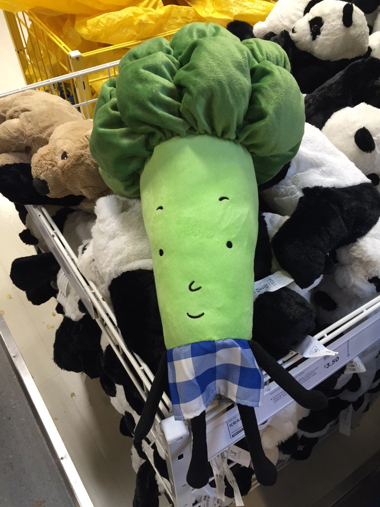 ShannonL_93's tweet image. ooooooh midget tree @thebodycoach #ikea #midgettree