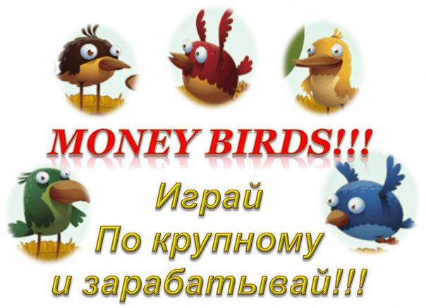 tigraBU's tweet photo. Money birds..... выводи реал не напрягаясь, просто купи птиц и собирай яйца  https://t.co/Vpif3n1nGp https://t.co/fGsG0kfKmw