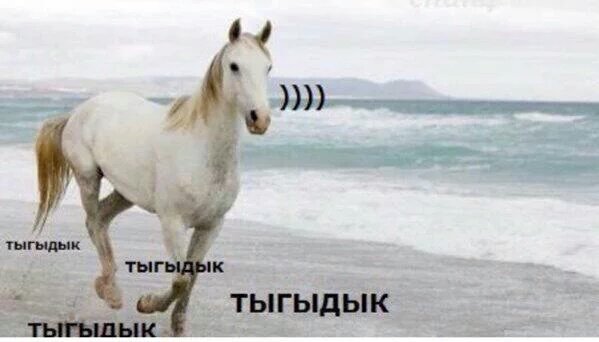 На треню:
#volleyball