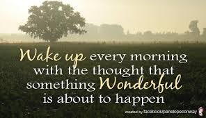 WillmsJoan's tweet image. 