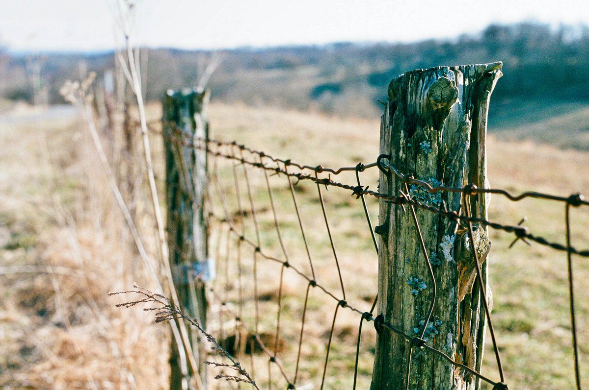 shutteringthru's tweet photo. Weathered Post #FujiSuperia400 #OM1 #BelieveInFilm #HeyFSC #FilmIsNotDead #MauryCounty @antebellumcap #FilmBoxLab https://t.co/CEgSxJdhRk