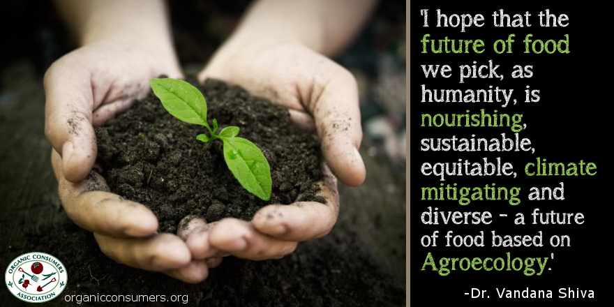 Organic Consumers Association tweet media