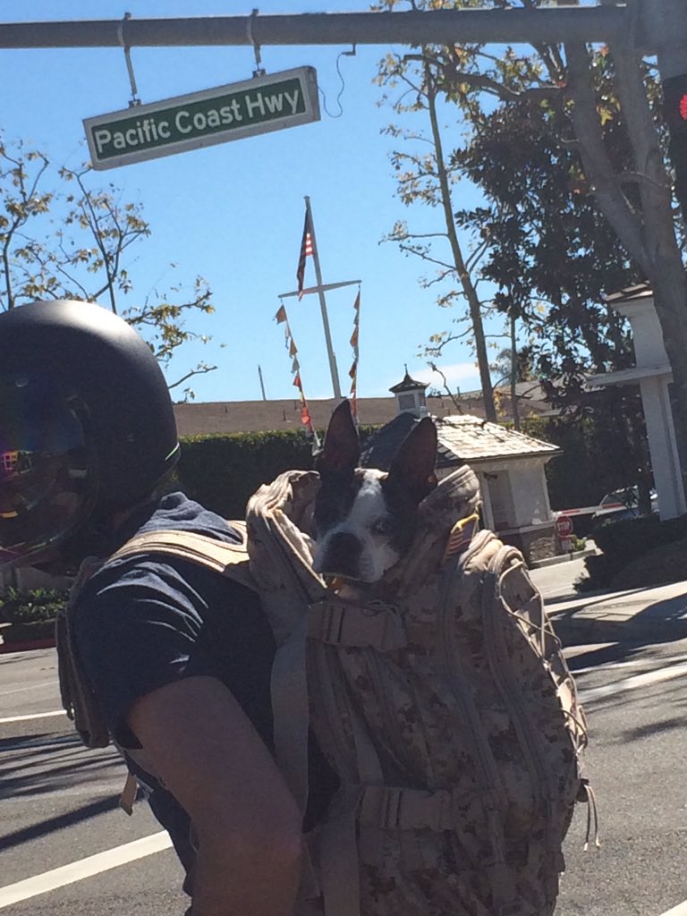 New way to ride in style