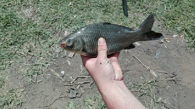 jackieroets04's tweet photo. @Catch_more_fish https://t.co/0g0bG1ZmWJ