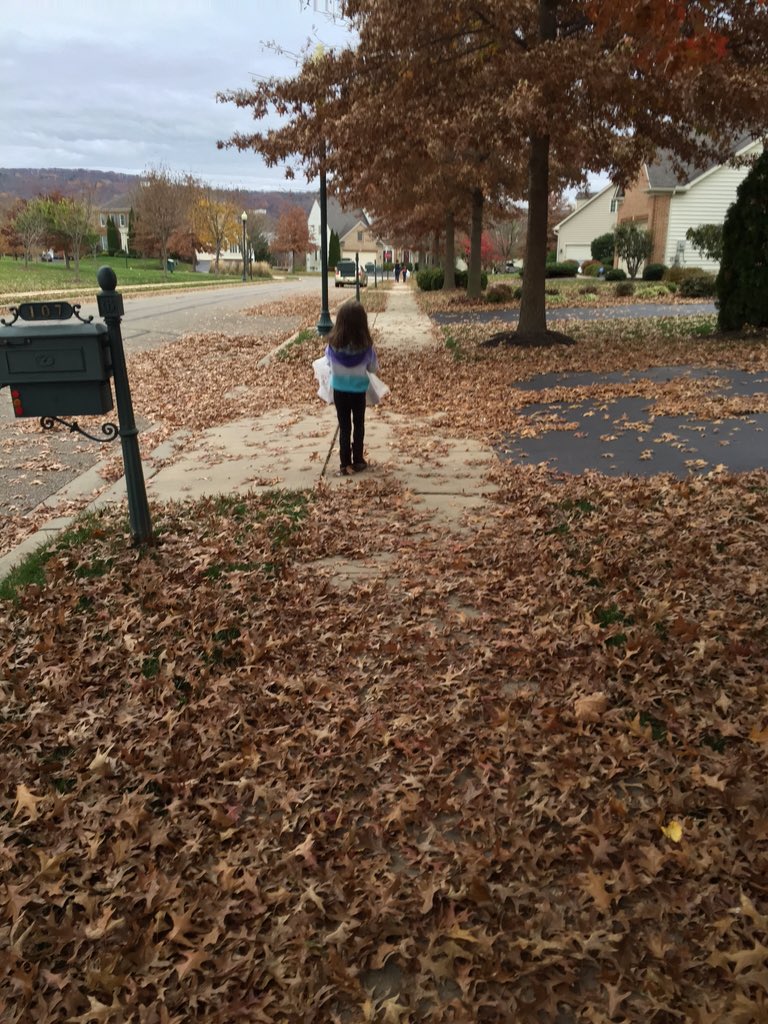 LC_OPSBC's tweet photo. Delanie helping her brother hang bags for "scouting for food" this am. Apparently she got tired! #Pack278 #Den2tiger https://t.co/boGTEQZliU